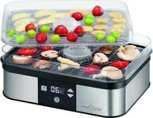 deshidratador de alimentos pequeño
