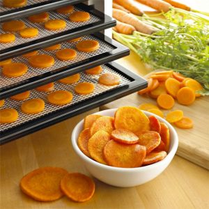 deshidratador de alimentos con zanahorias
