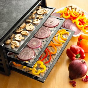 deshidratador de alimentos vertical